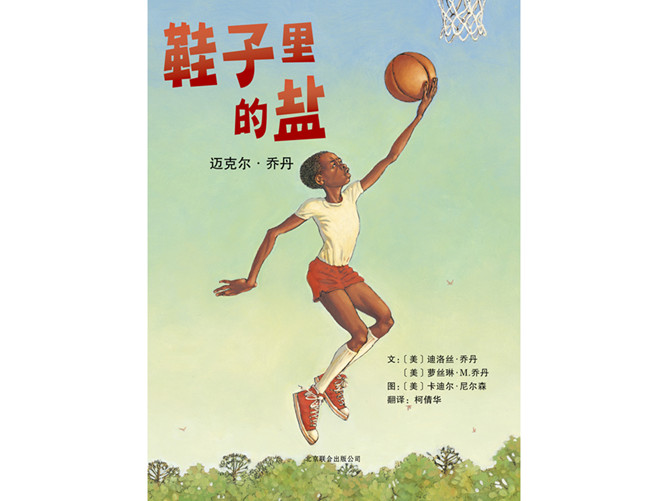 鞋子里的盐ppt绘本