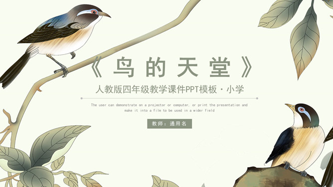 鸟的天堂PPT课件2