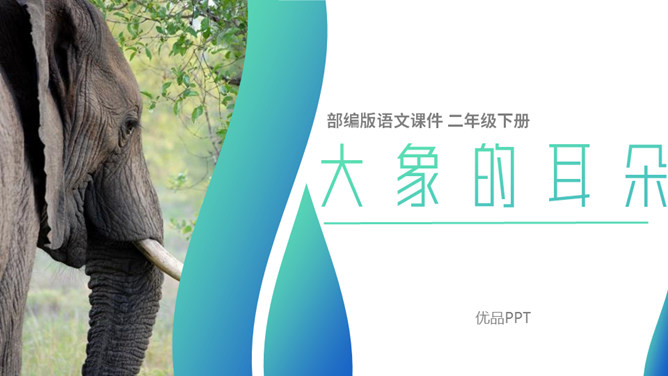 大象的耳朵PPT课件3