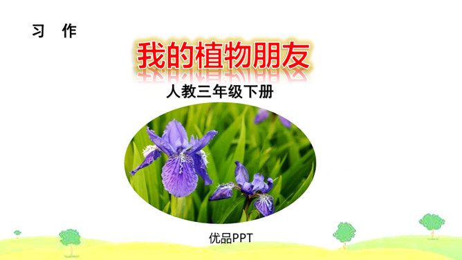 我的植物朋友PPT课件4