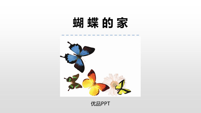 蝴蝶的家PPT课件7