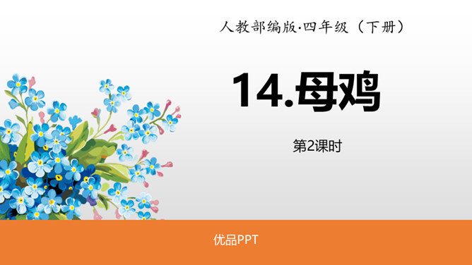 母鸡PPT课件3