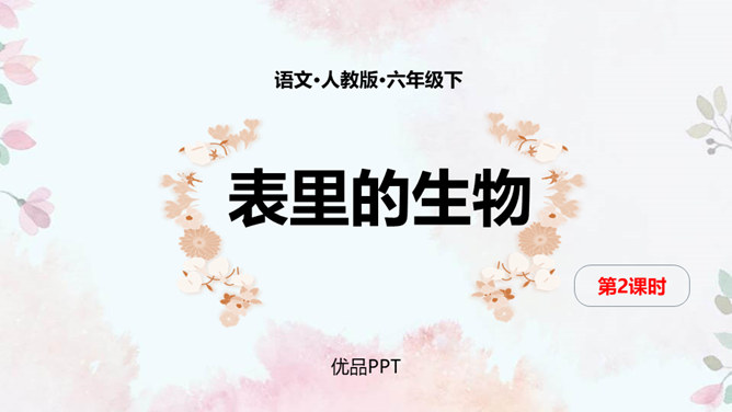 表里的生物PPT课件2