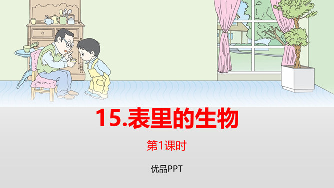 表里的生物PPT课件3