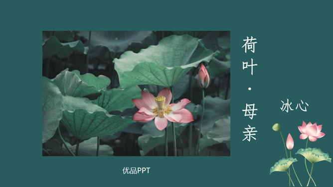 荷花母亲PPT课件4