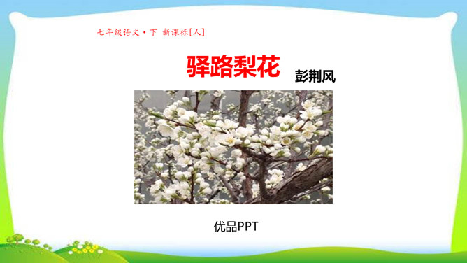 驿路梨花PPT课件3