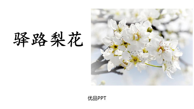 驿路梨花PPT课件8