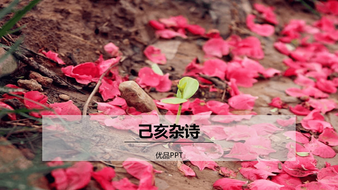 己亥杂诗（其五）PPT课件3