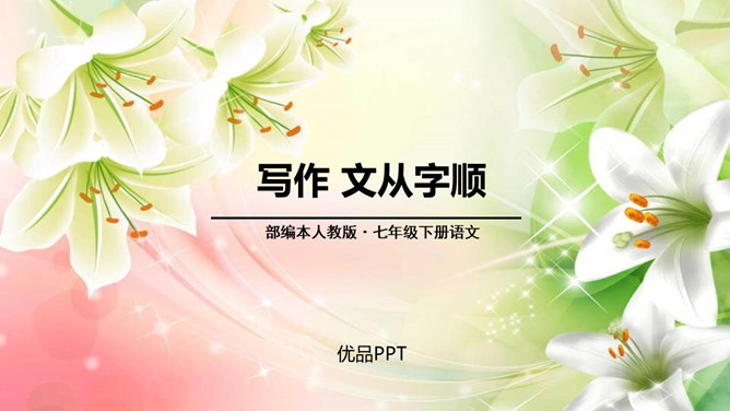 文从字顺PPT课件3