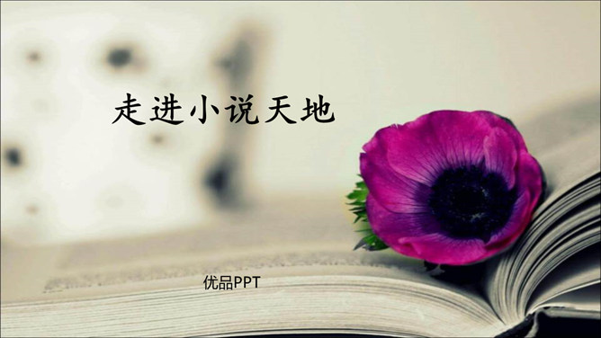 走进小说天地PPT课件1