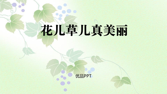 花儿草儿真美丽PPT课件1