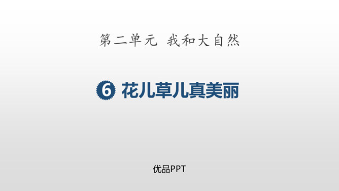 花儿草儿真美丽PPT课件7