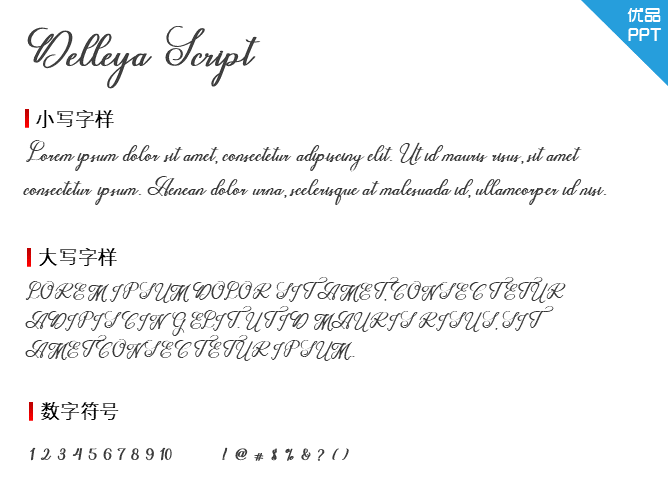 Delleya Script