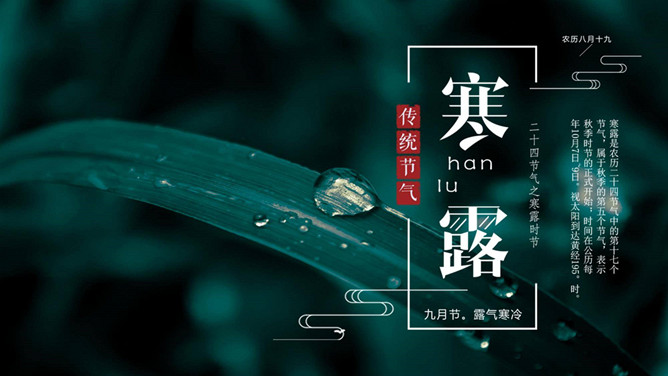 叶子露珠寒露节气PPT模板