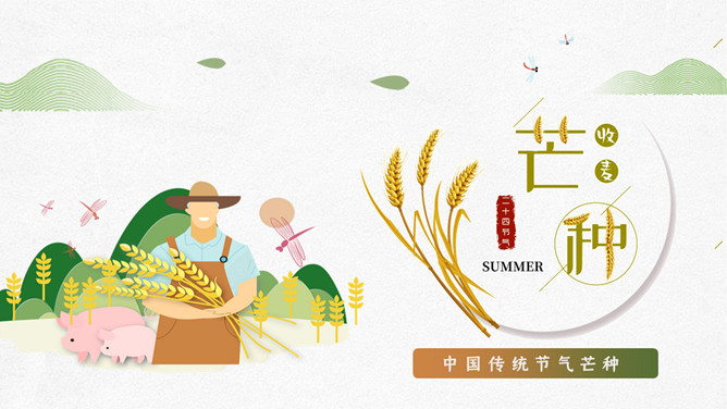 农民麦穗芒种节气PPT模板
