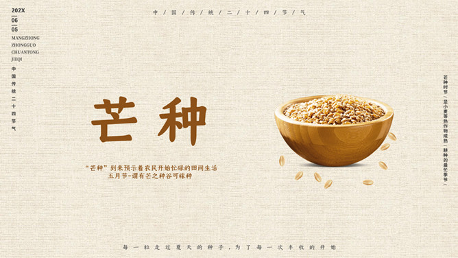 木碗麦粒芒种节气PPT模板
