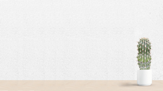 植物绿植PPT背景图片