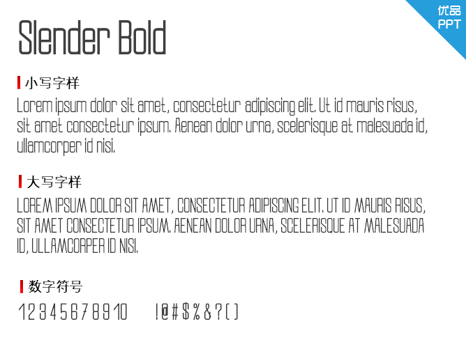 Slender Bold