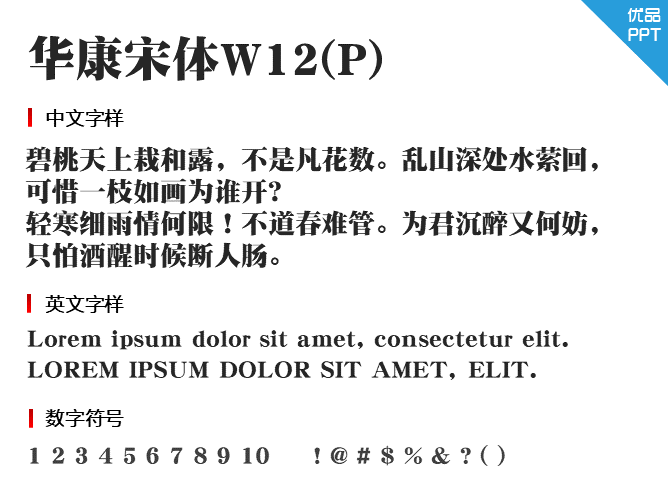 华康宋体W12(P)