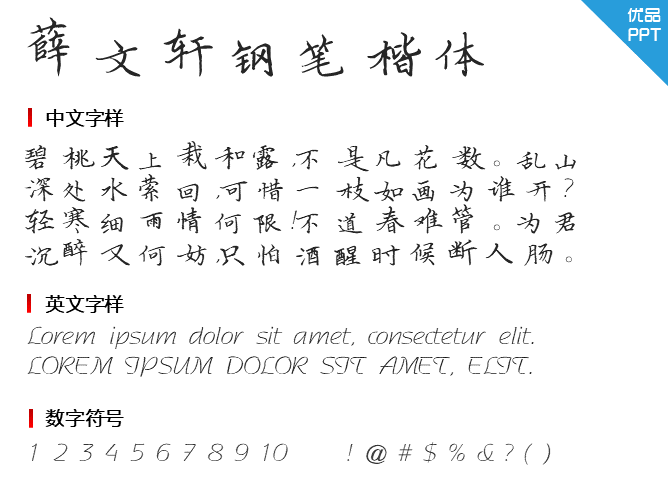 薛文轩钢笔楷体